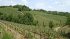 fotogramma del video Cultura: Gibelli-Bini, Collio Unesco è progetto che unisce ...